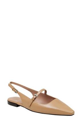 Linea Paolo Celeste Slingback Pointed Toe Flat in Desert at Nordstrom Rack, Size 9