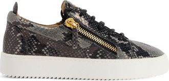 Giuseppe Zanotti Gail