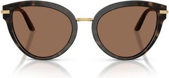 Dolce & Gabbana 55mm Butterfly Sunglasses in Havana White /Dark Brown at Nordstrom