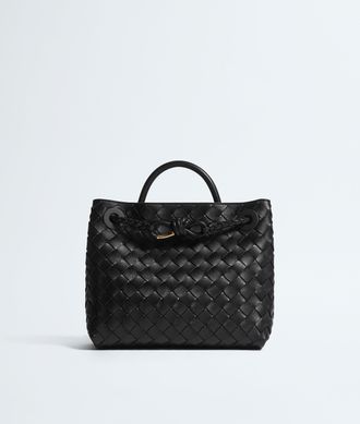 Bottega Veneta Small Andiamo - Bottega Veneta