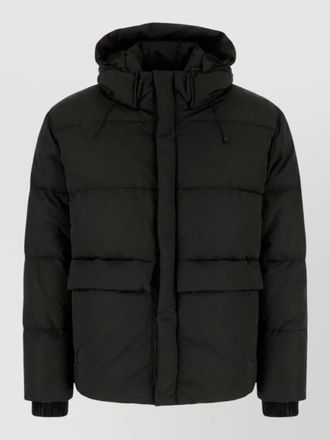 Iceberg padded jacket