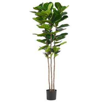 Leaf Large Fiddle Fig Tree Artificial 180cm Premium Plant in Green