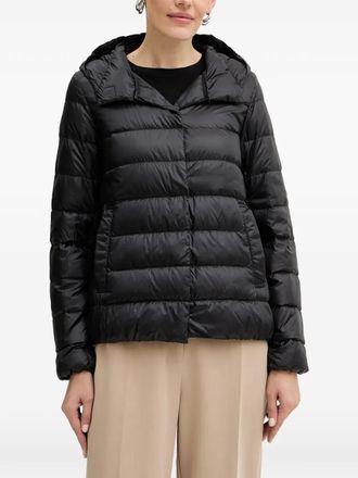 Liviana Conti hooded quilted jacket - Black