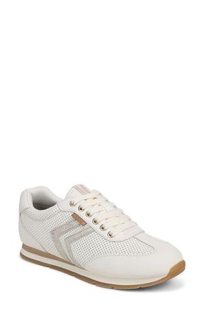 Dr. Scholls Comeback Perforated Sneaker in Off-White/Champagne at Nordstrom, Size 6.5