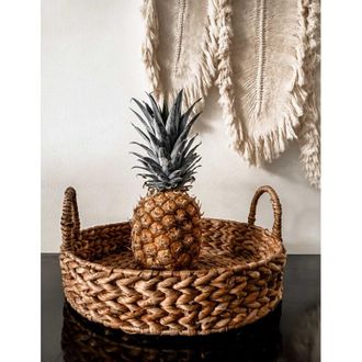 OEM Bandeja De Bolas De Jacinto De Agua L