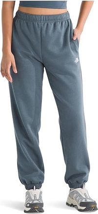 The North Face Evolution Embroidered Pants Womens Casual Pants Granite Grey : 2XL 28.5, Cotton/Polyester