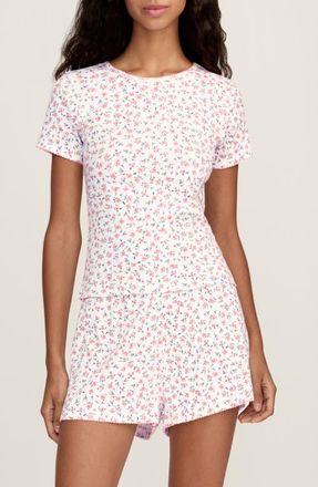 Petite Plume Pima Cotton Pointelle T-Shirt in Pink at Nordstrom, Size X-Large