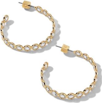 Miranda Frye Lynda Hoop Earrings in Gold at Nordstrom