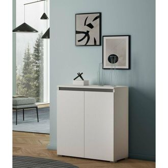 Dmora Zapatero Calla, Mueble Multiusos, Zapatero Con 2 Puertas Que Ahorra Espacio, Armario Con Estantes, 100% Made In Italy, 80x37h102 Cm, Blanco, Con Embal