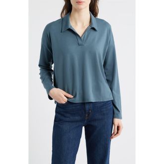 Eileen Fisher Boxy Henley Jersey Top in Eucalyptus at Nordstrom, Size Xx-Small