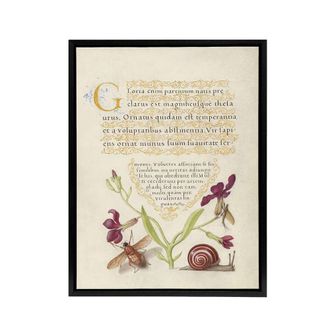 Artery8 Gillyflower Fly Mayfly & Snail Calligraphy Framed Canvas Wall Art in Beige | Size: W24 x H32