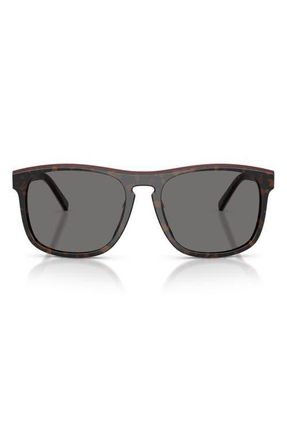 Ferrari 57mm Polarized Square Sunglasses in Havana/red/havana /Polar at Nordstrom