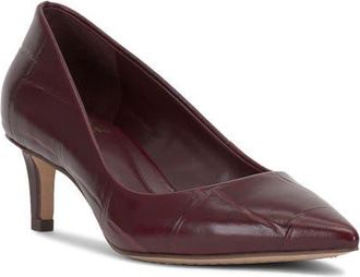 Vince Camuto Kehlia Pointed Toe Pump in Plum at Nordstrom, Size 5.5