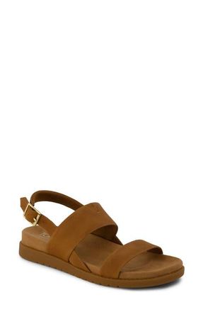 Toms Marin Slingback Sandal in Medium Brown at Nordstrom, Size 5.5