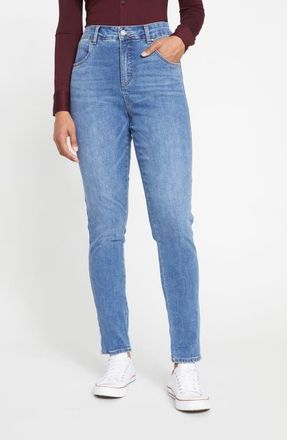Universal Standard Seine Ankle Skinny Jeans in Vintage Indigo Blue at Nordstrom, Size 14W X 27