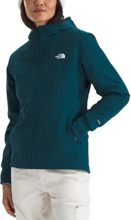 The North Face Shelbe Raschel Hoodie Womens Blue Fleece Lined DDR2597
