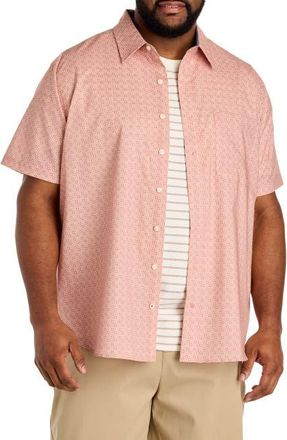 Nautica Big & Tall Geometric Print Sport Shirt V2 in Ashrose at Nordstrom, Size Xx-Large