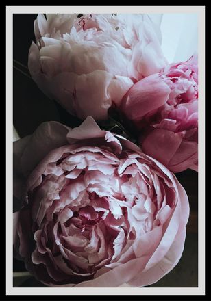 Queence Bild »Ursula« Blumenbilder Blätter Foto Kunst