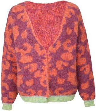 Saachi Fuzzy Knit Leopard Print Cardigan in Orange at Nordstrom Rack