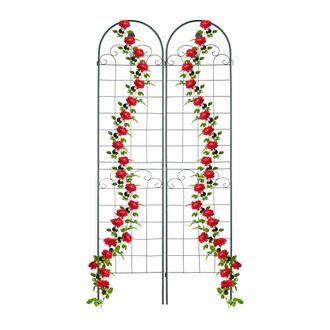 Relaxdays Relaxdays - Soportes Para Plantas, Set De 2, 220 X 50 Cm, Aut&oacute;nomos, Enrejado Estacas, Enredaderas, Gu&iacute;a Trepadoras, Verde