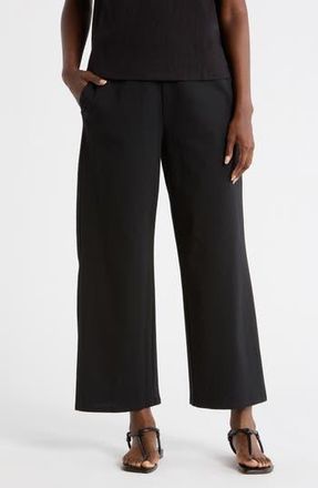Eileen Fisher Ankle Wide Leg Pants in Black at Nordstrom Rack, Size Xx-Small