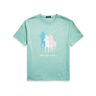 Ralph Lauren Tops, Heren, Groen, S, Stijlvol T-shirt