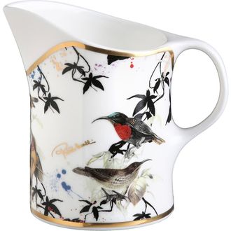 Roberto Cavalli Classic Creamer in Gardens Birds at Nordstrom