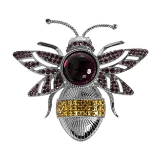 Dolce & Gabbana Accessoires, Heren, Grijs, ONE Size, Leer, Broche met glinsterende kristallen