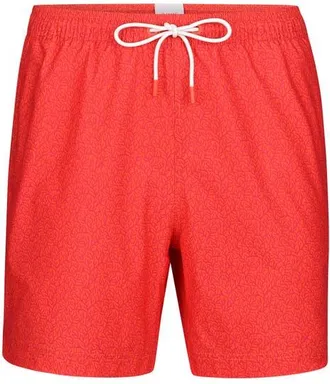 Swims Breeze Swim Trunks in Swims Orange at Nordstrom, Size Xx-Large