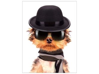 Schubiger M&ouml;bel Digitaldruck auf Glas Hundem&auml;nnchen mit Melone und Sonnenbrille