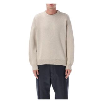 Colorful Standard Truien & Vesten, Heren, Beige, M, Wol, Oversized Merino Wool Crew
