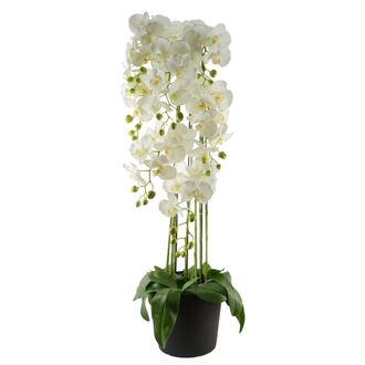 Leaf 110cm Large White Orchid Plant - Artifcial - 41 REAL TOUCH flowers in Green