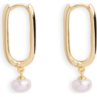 Argento Vivo Freshwater Pearl Drop Hoop Earrings in Gold at Nordstrom