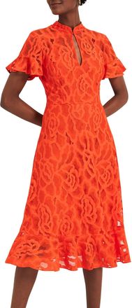 Phase Eight Lulu Floral Lace Dress