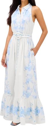 Allison New York Juniper Maxi Dress In Floral