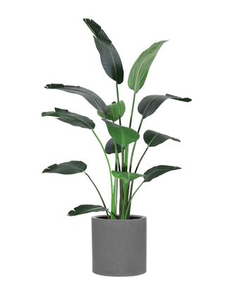 Creative Displays Inc. 6Ft Bird Of Paradise Tree With Fiberstone Planter