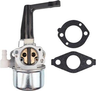 OEM Carburador 696065 Con Junta - Apto Para Briggs & Stratton 697422 110402 110412 215369