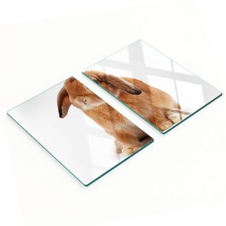 OEM Taglieri Da Cucina In Vetro Con Grafica Di Coniglio Rosso, 2x40x52 Cm