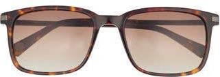Ted Baker 56mm Polarized Square Sunglasses in Tortoise at Nordstrom Rack