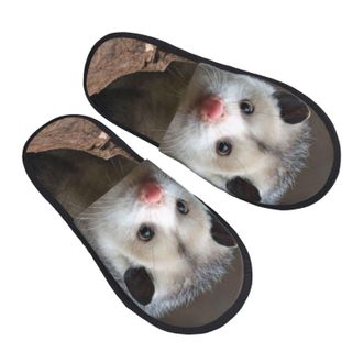 Generic Slippers Possum Hissing Unisex Plush Slippers Warm Anti-Slide Slipper For Winter Men Room M