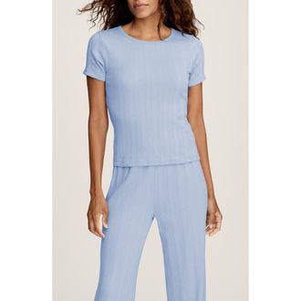 Petite Plume Pima Cotton Pointelle T-Shirt in Blue at Nordstrom, Size X-Large