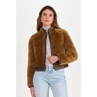 FURNIQ Harper Shearling Studded Jacket in Brown at Nordstrom, Size Xx-Large