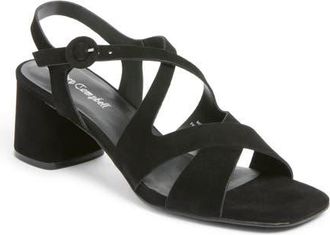 Jeffrey Campbell Rayet Strappy Block Heel Sandal in Black Suede at Nordstrom, Size 7.5