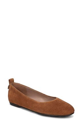 Naturalizer Ava Ballet Flat in Chestnut Leopard at Nordstrom, Size 8.5