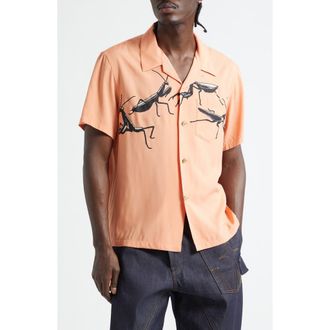 J.W.Anderson Praying Mantis Print Camp Shirt in Peach at Nordstrom, Size 36 Us