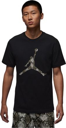 Nike Jordan Air Jordan Crew Neck T-Shirt Black HJ2863-011