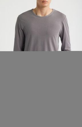 Alex Crane Long Sleeve Organic Cotton Crewneck T-Shirt in Silver at Nordstrom, Size Xx-Large