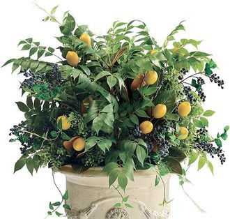 Frontgate Lemon Grove Urn Filler - Frontgate
