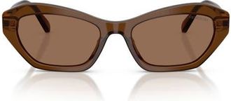 Swarovski 54mm Cat Eye Sunglasses in Transparent Brown /Dark Brown at Nordstrom