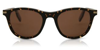 Serengeti Eyewear Leonora Polarized 8841 Womens Sunglasses Tortoiseshell Size 51